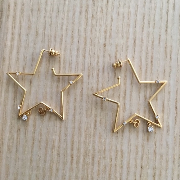 dior star earrings